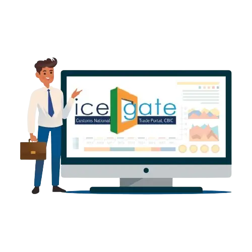 ICEGATE digital signature