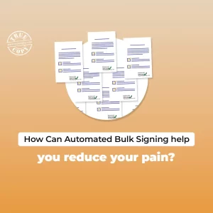 Bulk Signing Bulk PDF Signer Bulk Document Signer